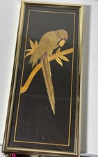 Framed parrot artwork for sale  Warsaw