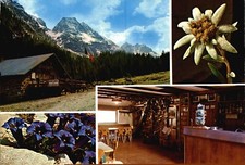 Trento ziano fiemme usato Trento ziano fiemme usato  Padova