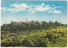 Pancrazio barbarano mossano usato  Isola Vicentina