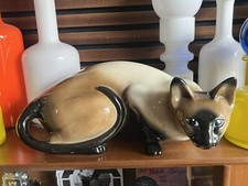 Huge siamese cat for sale  SOUTHAMPTON
