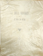 Situla benvenuti nel usato  Reggello