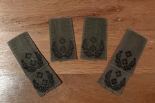 Paar schulterklappen liv gebraucht kaufen  Brockscheid, Mehren, Strotzbüsch
