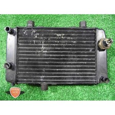 Radiatore acqua yamaha usato  Napoli