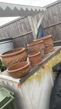 Large xlarge terracotta for sale  MILTON KEYNES