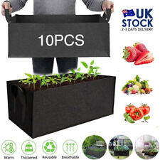 Large plant grow for sale  WALSALL