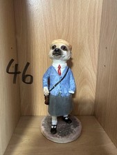 Magnificent meerkats eve for sale  EVESHAM