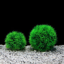 Aquarium fish tank for sale  BIRMINGHAM