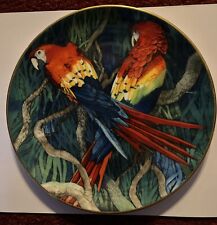 Wedgewood. scarlet macaw for sale  TONBRIDGE