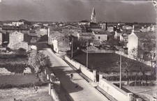 Cartolina pola gallesano usato  Trieste