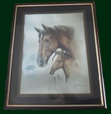 Ruane manning horse for sale  DARLINGTON