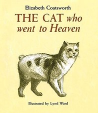 Cat went heaven for sale  Boston