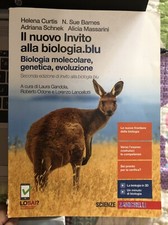 Libri testo liceo usato  Roma