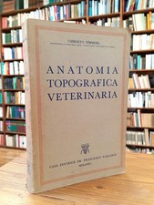 Umberto zimmerl anatomia usato  Foligno