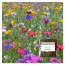 Blumenwiese wildblumenmischung gebraucht kaufen  Elchesheim-Illingen
