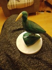Malachite bird for sale Malachite bird for sale  BRISTOL