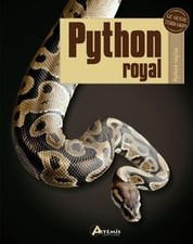 Python royal python gebraucht kaufen  Berlin