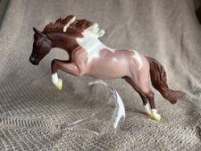 Persimmon berries ponies for sale  CARDIFF