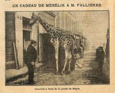 Paris giraffe négus d'occasion  Expédié en Belgium