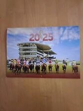 2025 galway races for sale  Ireland