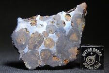 Meteorite sericho pallasite usato  Spedire a Italy