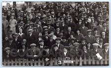 Brighton hove albion for sale  MANSFIELD
