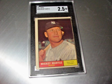 1961 topps 300 for sale  Brewster