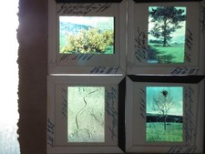 naturfotografie gebraucht kaufen  Münster