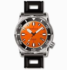 Borealis sea dragon usato  Anzio
