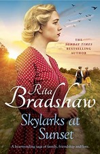 Skylarks sunset unforgettable for sale  ROSSENDALE