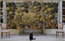 Superbe énorme tapisserie d'occasion  Cozes