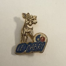 Broche ski insigne d'occasion  Le Kremlin-Bicêtre