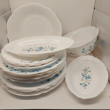 Arcopal myosotis france usato  Pieve di Cento