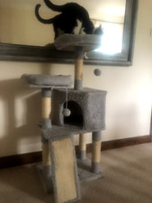 scratching post for sale scratching post for sale BUCKINGHAM