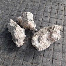 Riginal berliner mauer gebraucht kaufen  Berlin