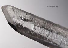 Starbrary lemurian quartz for sale  LONDON