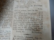 Giant tree shelton for sale  SKIPTON