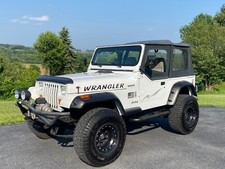 1995 jeep wrangler for sale  Wind Gap