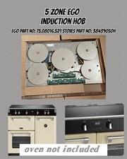 Induction unit e.g.o for sale  BURTON-ON-TRENT