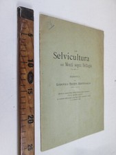 1899 selvicultura bellagio usato  Italia