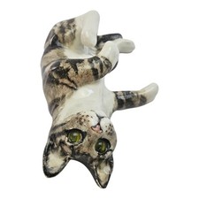 Winstanley laying tabby for sale  PEACEHAVEN