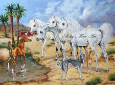 Bedouin gold arabian for sale  Redding