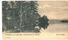 Old postcard wolfboro for sale  Glenwood Springs