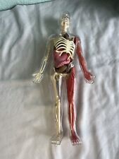 Human body hands for sale  Monmouth
