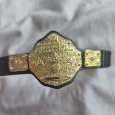 Heavyweight championship big for sale  BOLTON