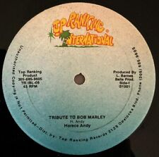 12inch horace andy gebraucht kaufen  Seelze