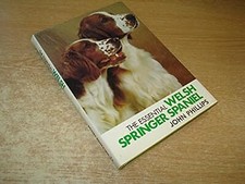 Essential welsh springer for sale  UK