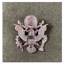Aaf ww2 insigne d'occasion  Vichy