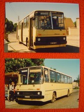 Ikarus linienbus dessau gebraucht kaufen  Berlin