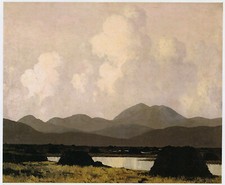 Kerry bog paul for sale  BARNSLEY