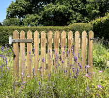 Wooden picket garden for sale  PETERSFIELD